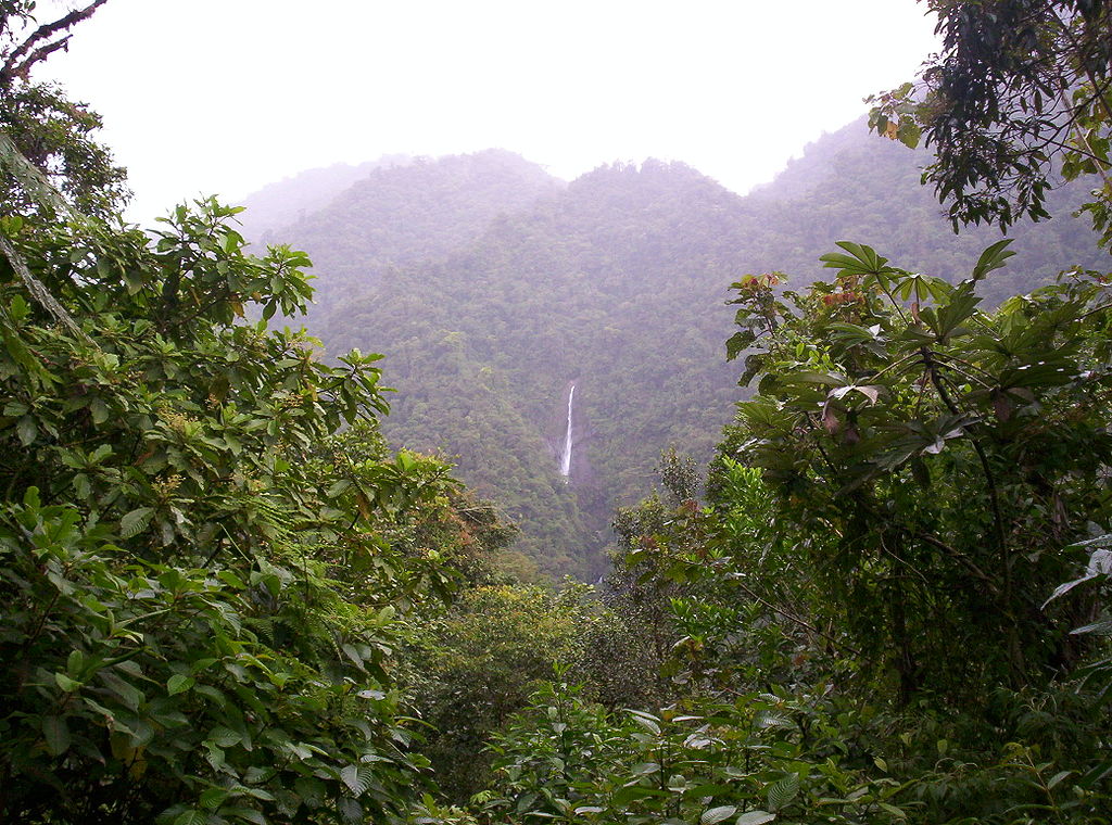 Costa Rica - Tapanti 